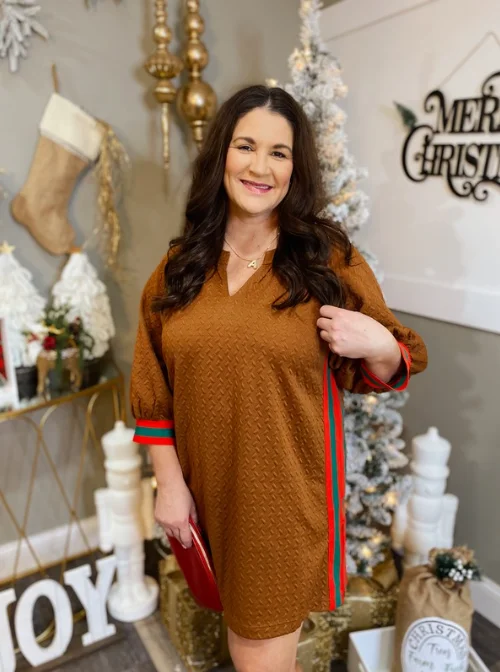 Cider House Mini Dress Stylish Button-Down Mini Dress